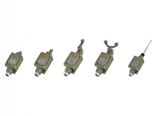 Factory Price For Bomb Proof Box - dLXK series Explosion-proof travel switch – Feice detail pictures