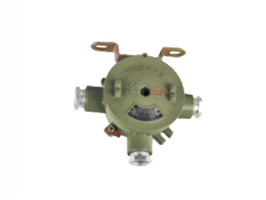 China Cheap price Explosion Proof Pipe - AH series Explosion-proof junction box – Feice detail pictures